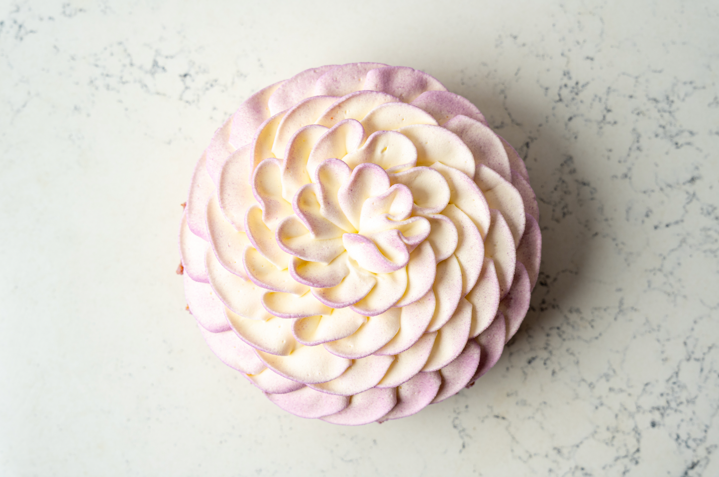 Aronia, babeurre, streusel