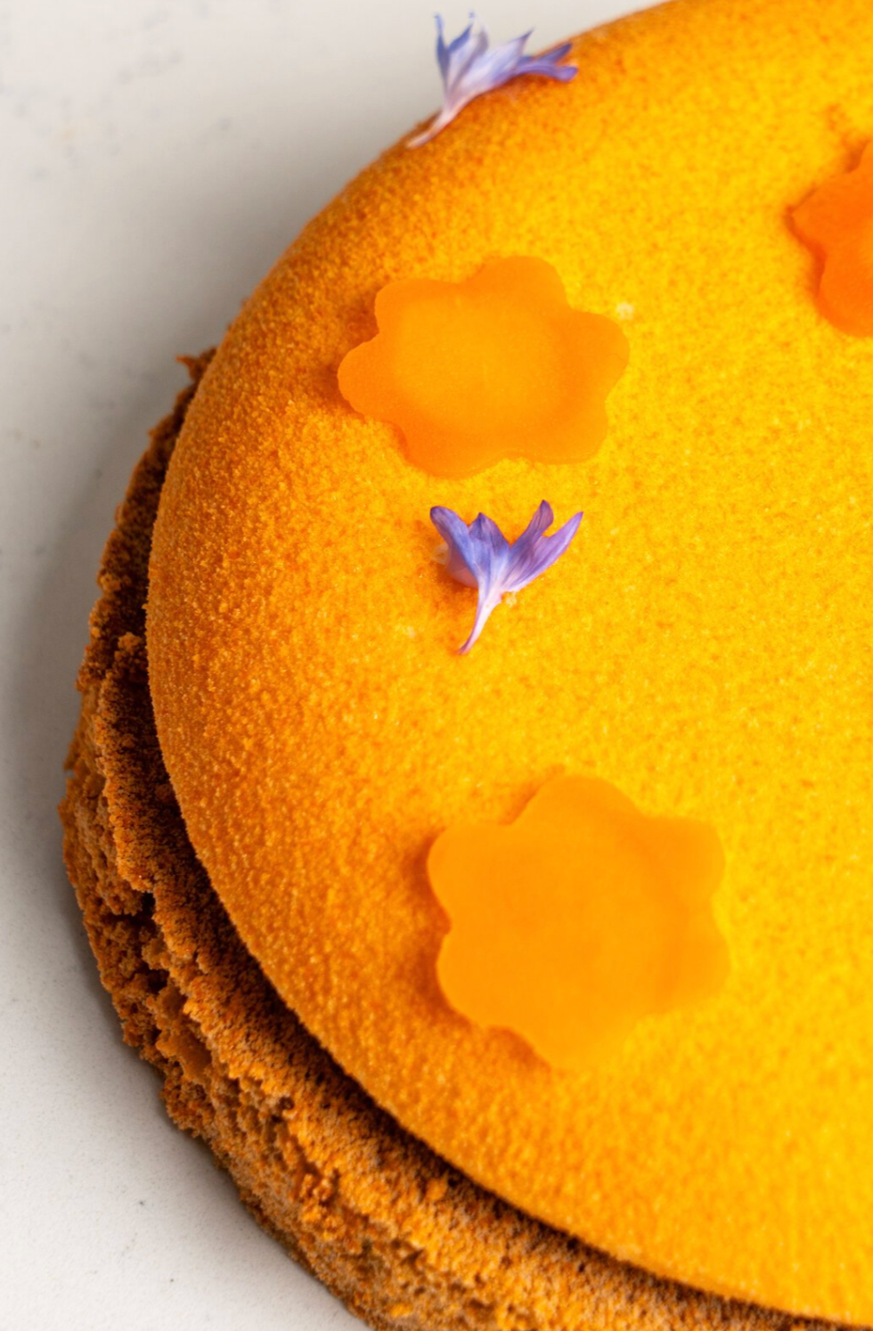 Gâteau carottes, clémentine, épinette