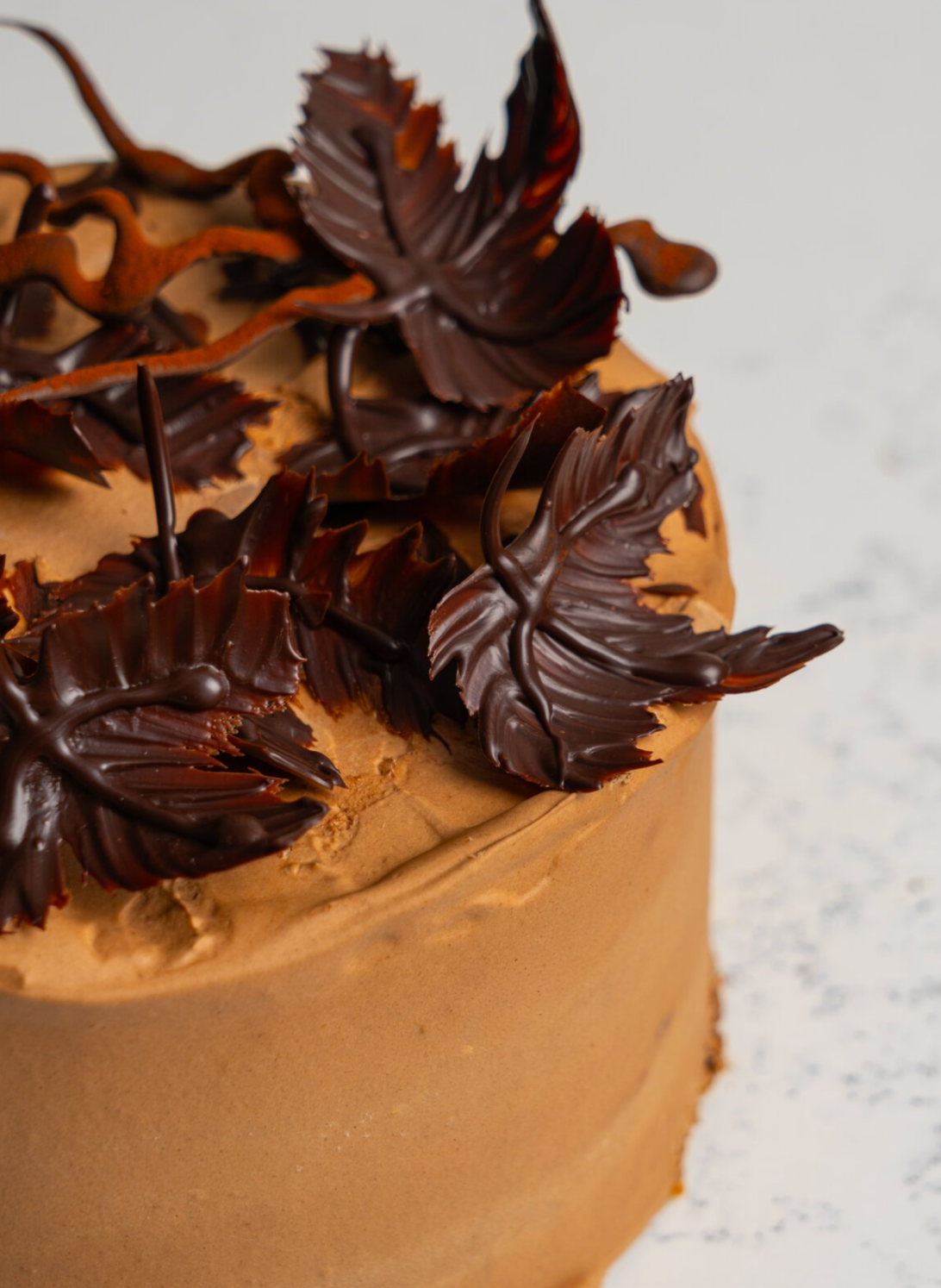 Gâteau de fête