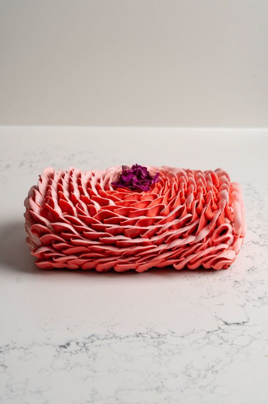 Bûche framboise, rose, poivre rose