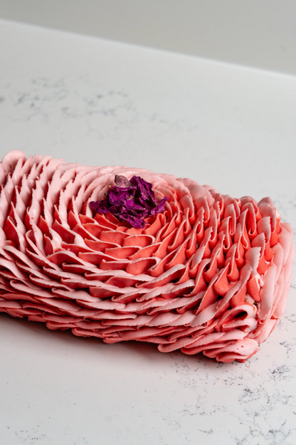 *STOCKS BAS* Bûche framboise, rose, poivre rose