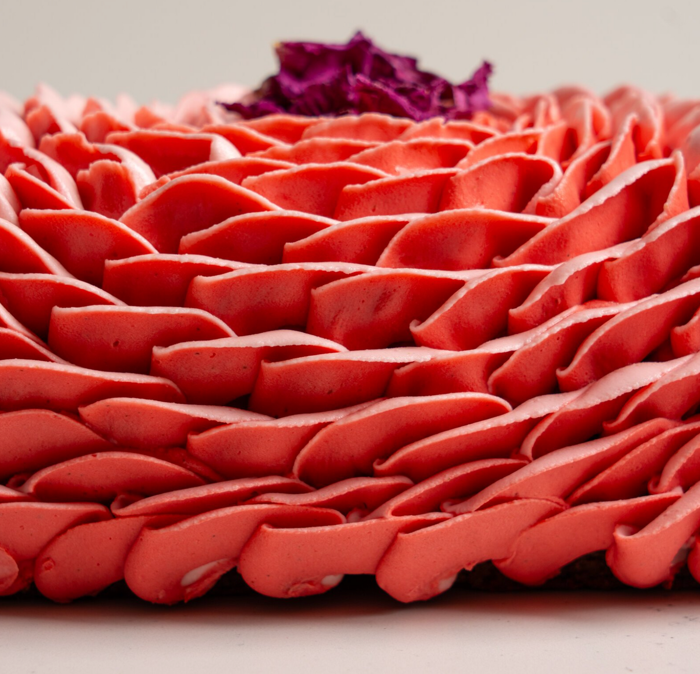 *STOCKS BAS* Bûche framboise, rose, poivre rose