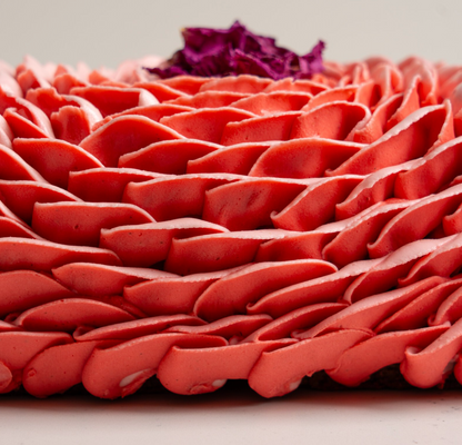 *STOCKS BAS* Bûche framboise, rose, poivre rose