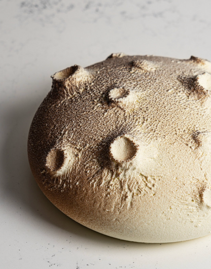 Bûche collection cassis, mélilot, Komuntu