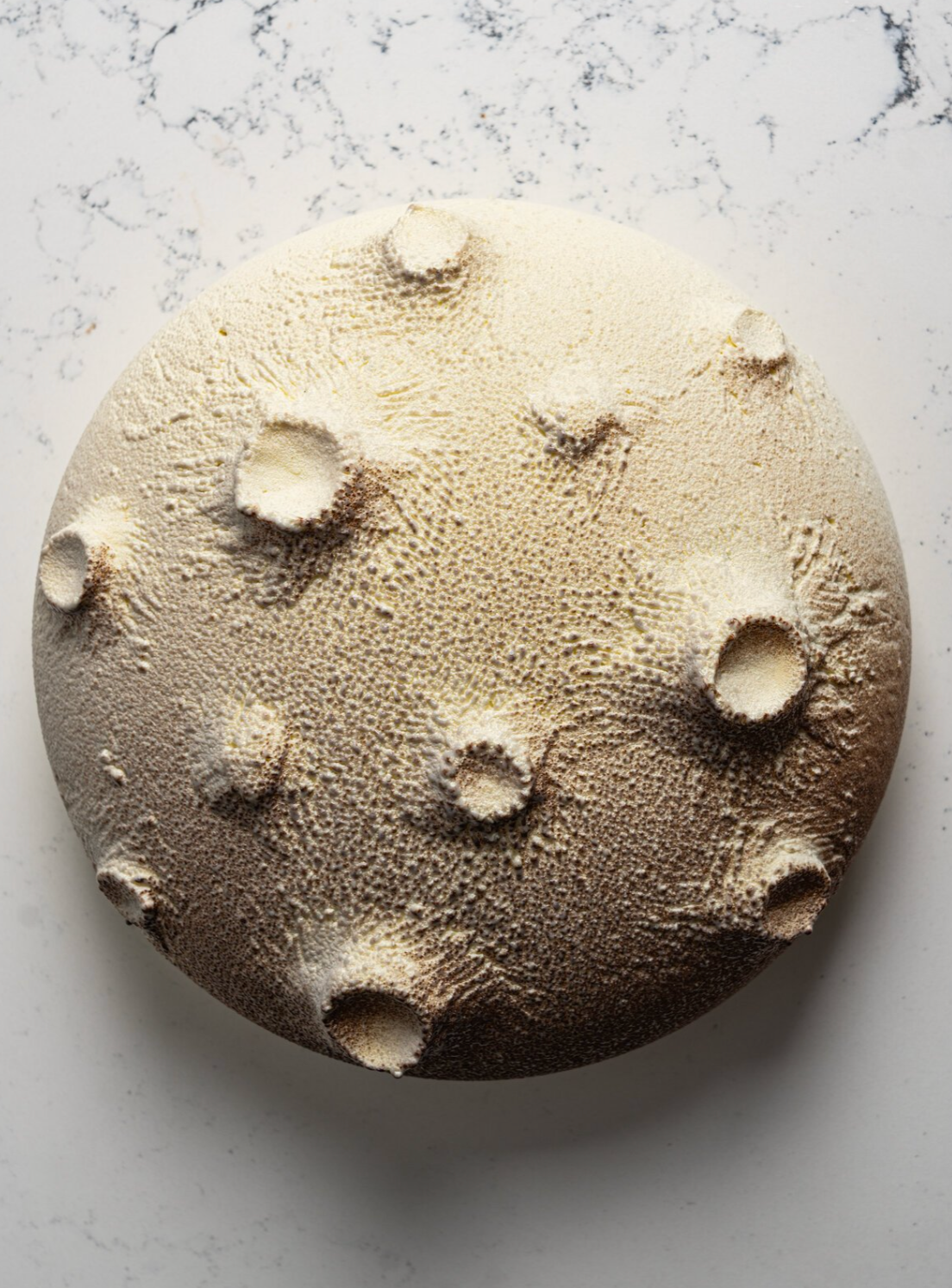 Bûche collection cassis, mélilot, Komuntu