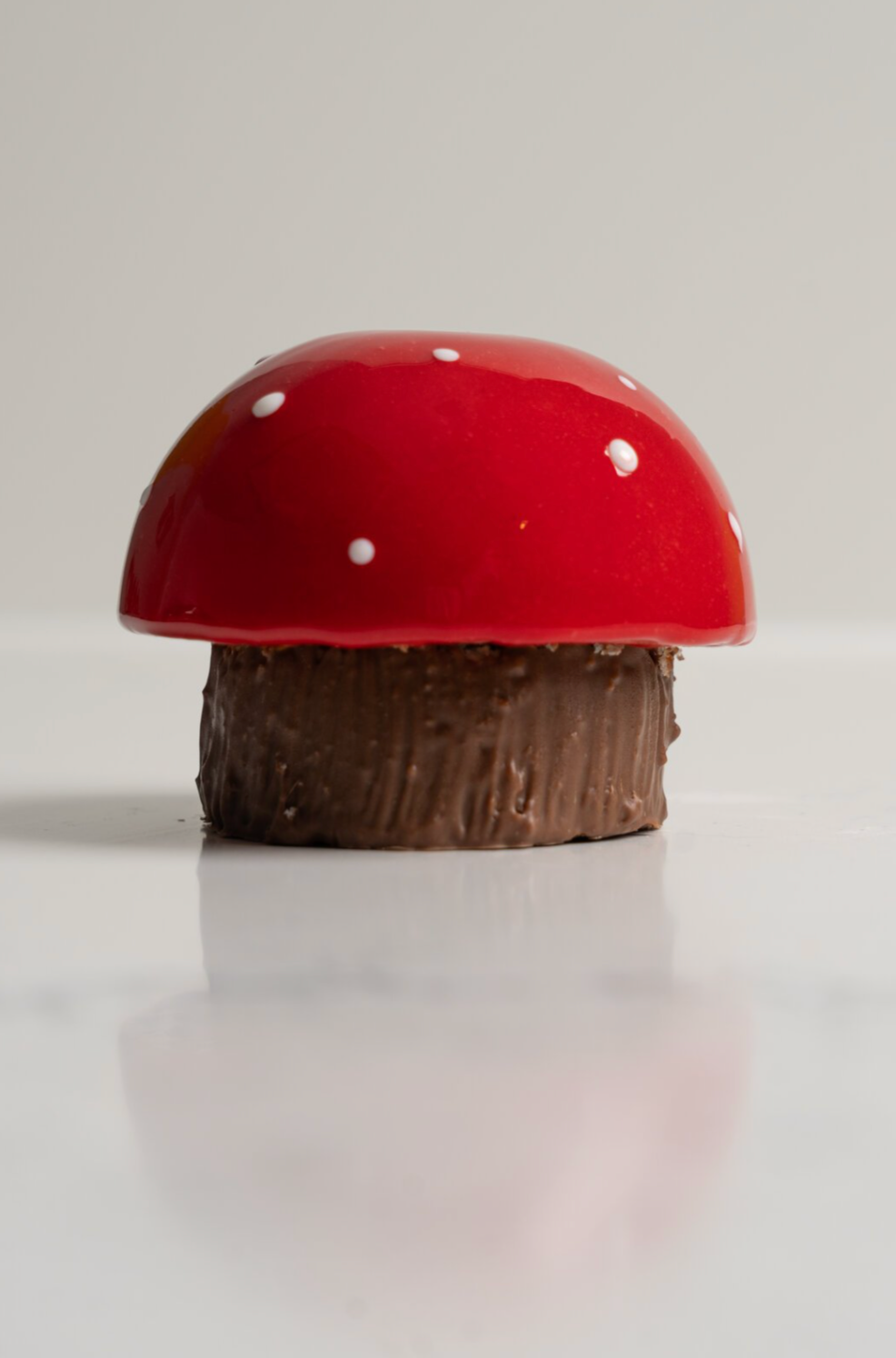 Chocolat au lait, lactaire, thé des bois