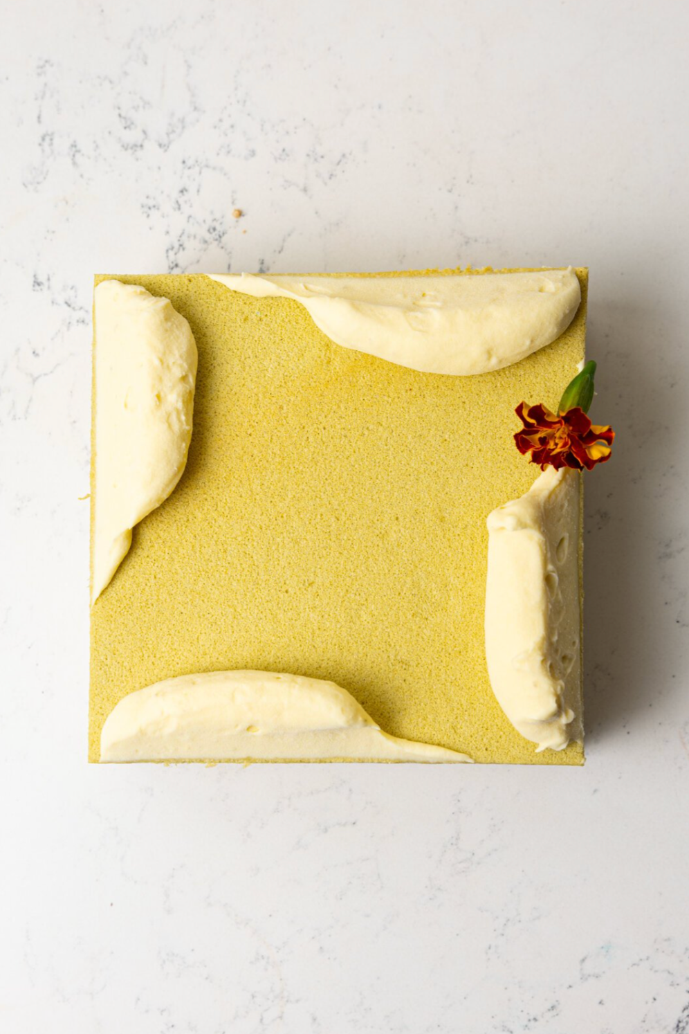 Camomille, thé boréal, miel de fleurs