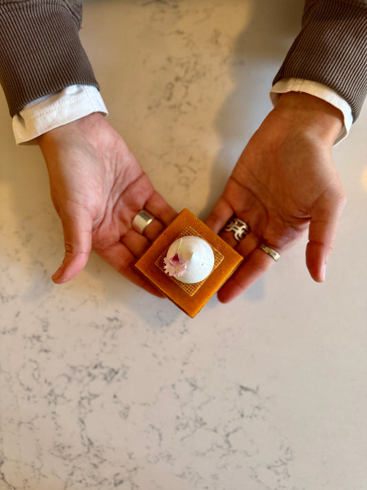 Tarte citron, piment goria, gingembre